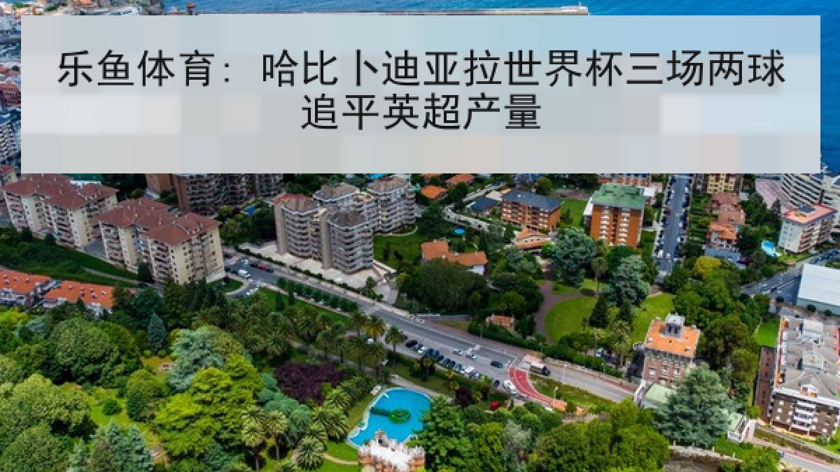 乐鱼体育: 哈比卜迪亚拉世界杯三场两球追平英超产量