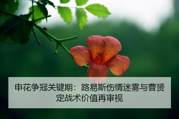 shen-hua-zheng-guan-guan-jian-qi-lu-yi-si-shang-qing-mi-wu-yu-cao-yun-ding-zhan-shu-jia-zhi-zai-shen-shi-2-108.jpg