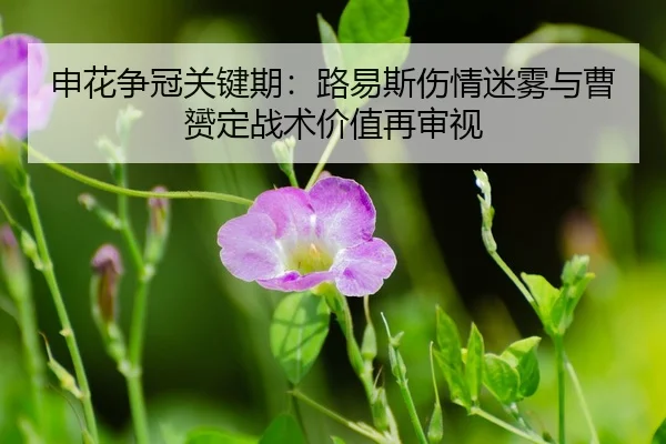 shen-hua-zheng-guan-guan-jian-qi-lu-yi-si-shang-qing-mi-wu-yu-cao-yun-ding-zhan-shu-jia-zhi-zai-shen-shi-3-578.jpg