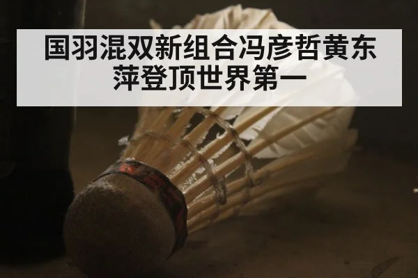 国羽混双新组合冯彦哲黄东萍登顶世界第一